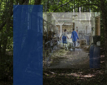 Image d'illustration